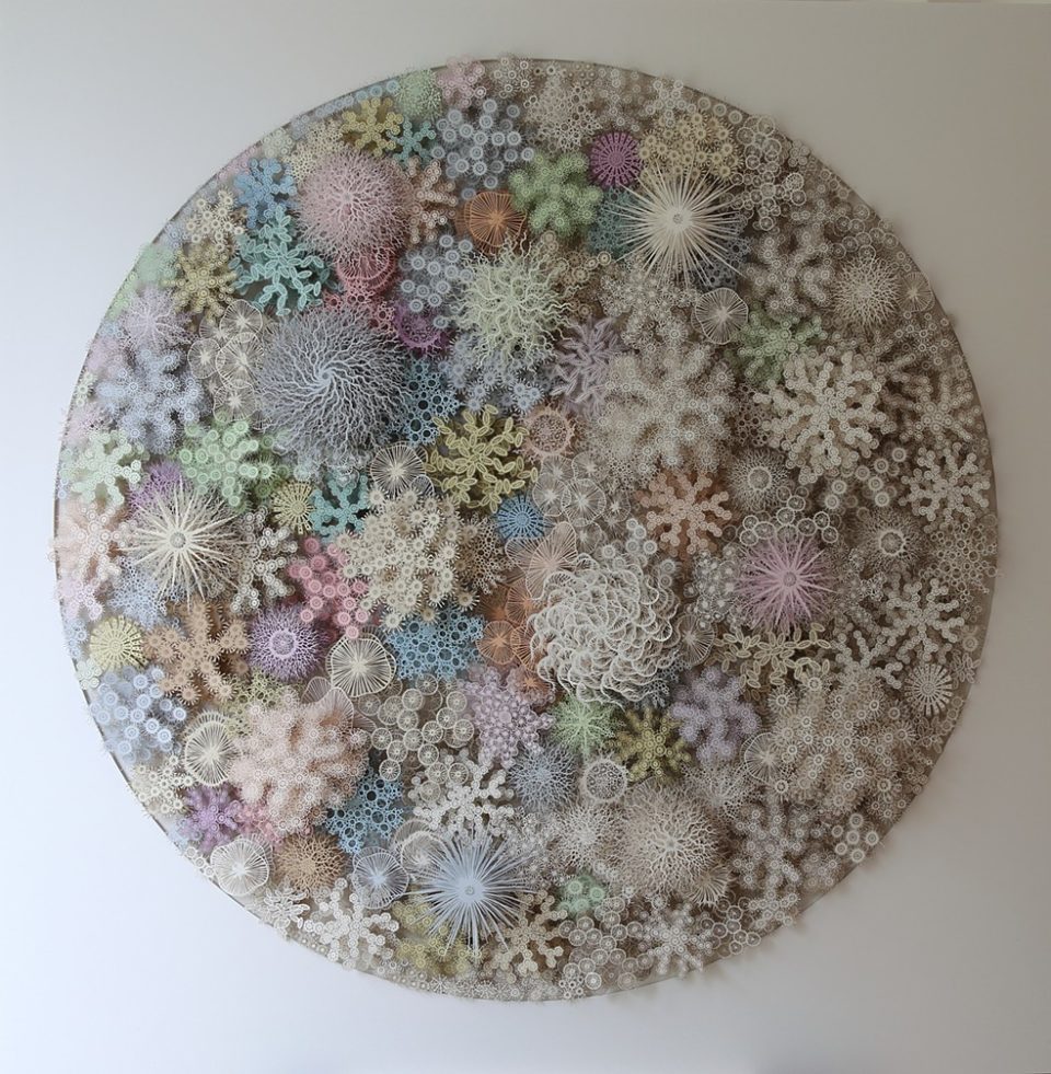 Magic Circle Variation Rogan Brown Amazing Paper Sculptures of Living Organisms – Lacto Bacto