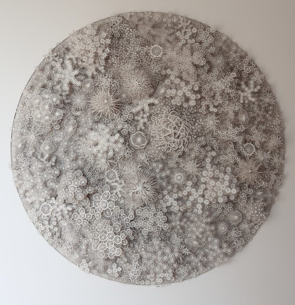 Magic Circle Variation Rogan Brown Amazing Paper Sculptures of Living Organisms – Lacto Bacto